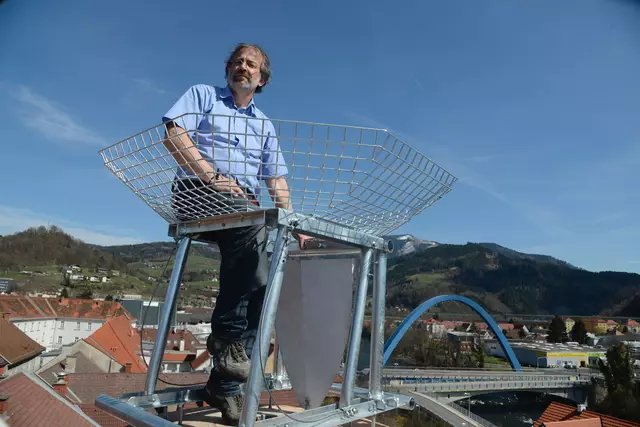 Peter Nistelberger hat den Horst schon vor Jahren errichtet, lange Zeit blieb dieser allerdings unbewohnt. | Foto: Nistelberger