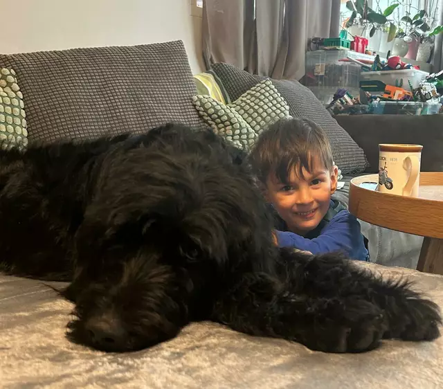 Noah und "Lottie" wachsen zusammen – die Hündin wird zur Diabetes-Warnhündin ausgebildet, um ihm mehr Sicherheit im Alltag zu geben. | Foto: BAM-Lorem canibus Gesbr-TRGZ