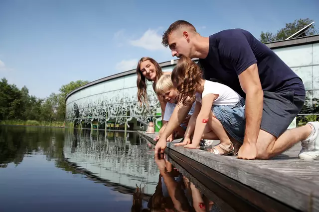 Naturpark Hochmoor Schrems | Foto: Waldviertel Tourismus, weinfranz