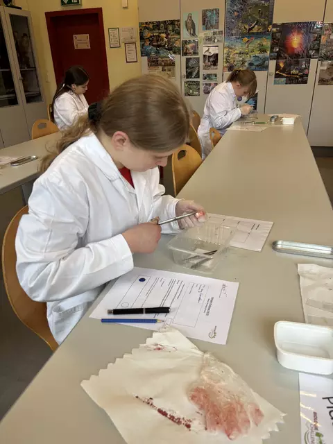 Die "Bio Challenge" umfasst sechs Themenbereiche der Biologie, in denen sowohl theoretisches Wissen als auch praktisches Geschick gefragt sind. | Foto: Stiftsgymnasium Admont