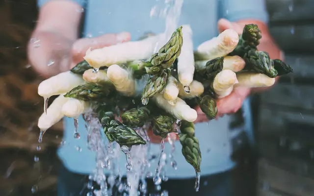 Tagesfrisch geerntet und sorgfältig gewaschen: Der Spargel vom Familienbetrieb in Fehring wird frühmorgens von Hand gestochen und direkt für den Verkauf vorbereitet. | Foto: Reicher