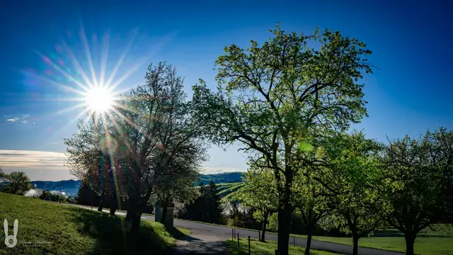 Am Wochenende kann es bis zu 30 Grad bekommen. | Foto: Harald Haselsteiner