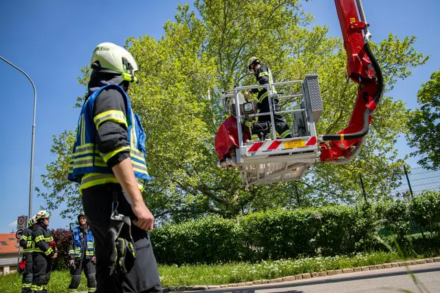 Die Freiwillige Feuerwehr Mödling rückte mit dem Hubrettungsfahrzeug aus, der Einsatz dauerte ca. eine Stunde. | Foto: ffmoedling.at