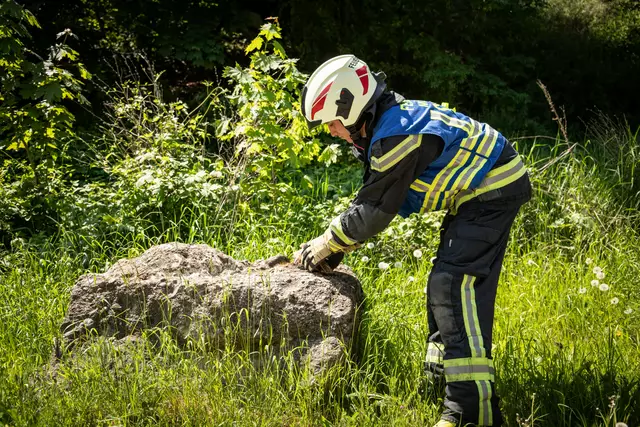 Foto: ffmoedling.at
