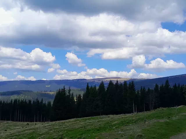 Blick auf den Hochwechsel