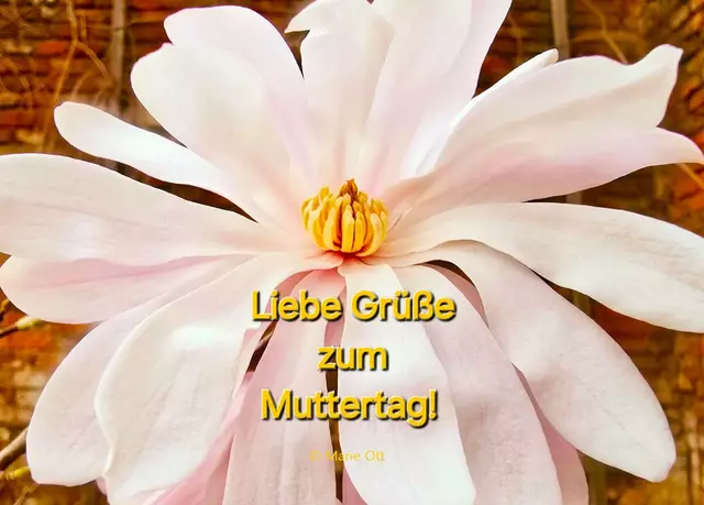 Liebe Grüße Muttertag