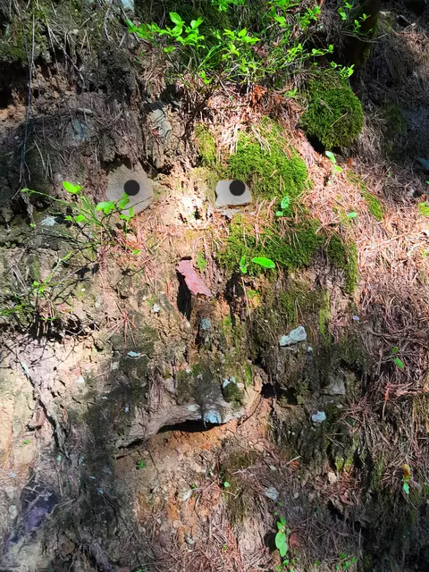 Ich seh schon bald "Waldgeister", die ich a bissi sichtbarer mache und die mich erfreuen