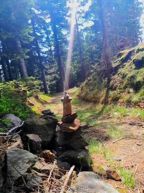 Sonnenstrahl auf sitzendem Buddha auf Glückstürmchen 😍😅