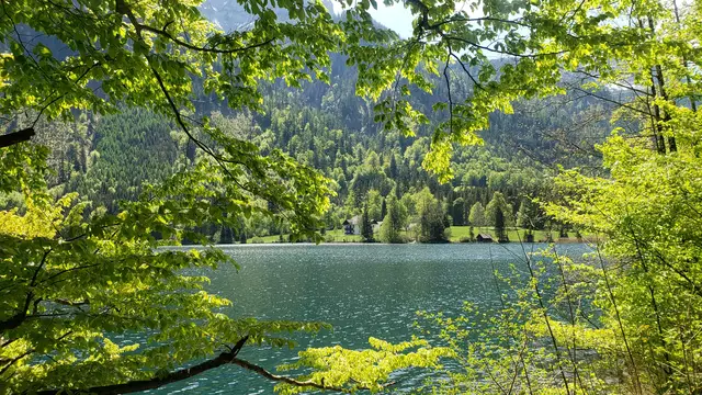 Durchblick zur ehemaligen kaiserlichen Jagdvilla (Kaiser Franz Josef) Ist im Besitz der Bundesforste.