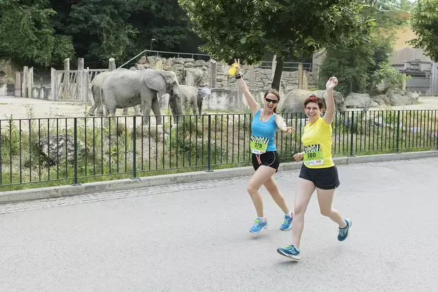 Schwitzen für den guten Zweck: Am 11. Juni heißt es wieder: Laufschuhe schnüren und ab durch den Tiergarten. | Foto: Daniel Zupanc