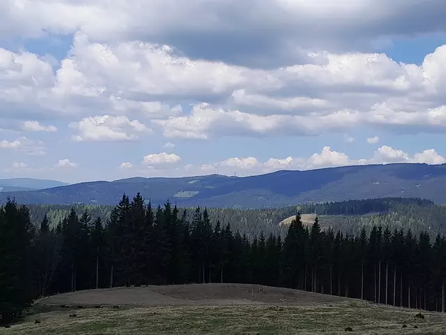 Der Teich ist aufgrund der Trockenheit leer