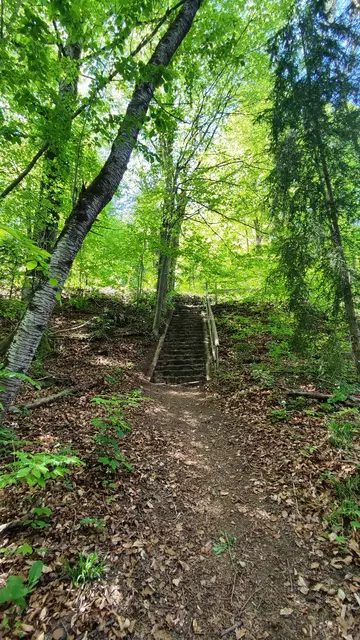 man überquert auch einmal die Höhenstraße, auf der man bis zur Kirche hinauffahren kann... | Foto: I.Wozonig