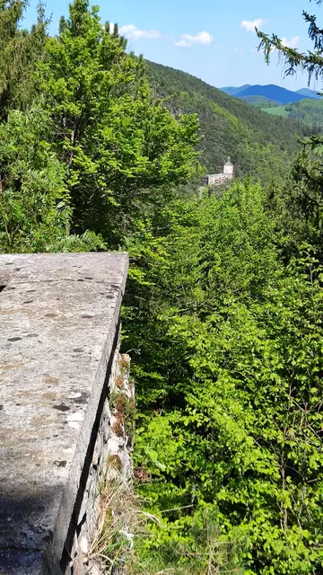 visavis zeigt sich die Burgruine Gutenstein... | Foto: I.Wozonig