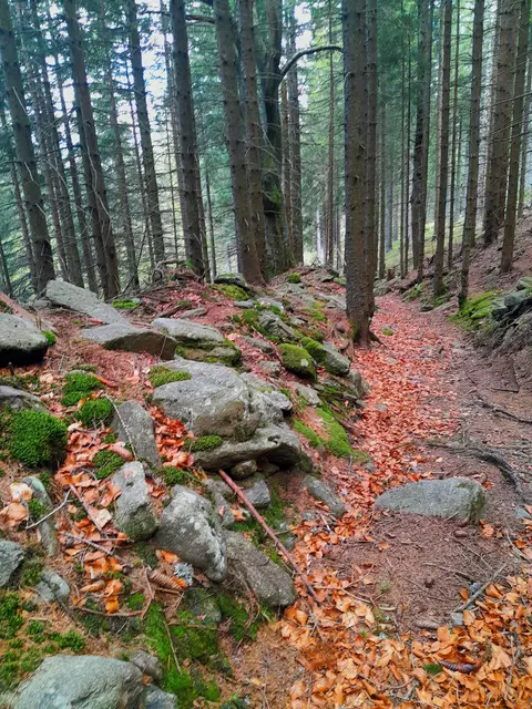 Ich mag solche Wege, auch wenns mal steiler ist