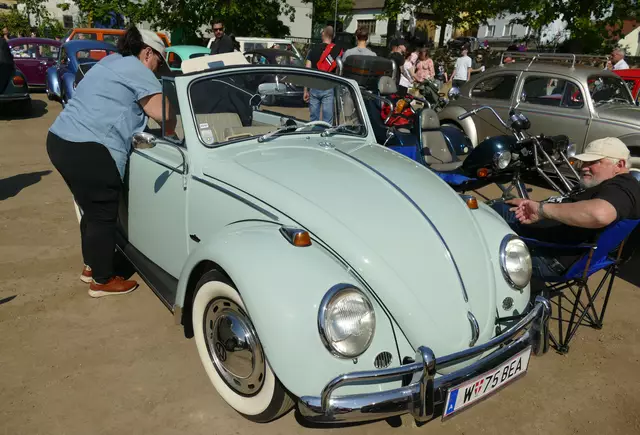 Das sonnige Wetter ließ auch die offenen Käfer aus ihrem Winterschlaf erwachen. | Foto: Hohenegger