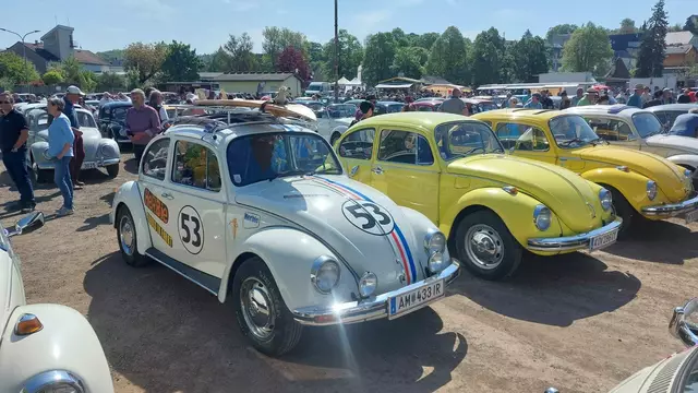 Bekannte Klassiker fand man in Eggenburg wieder. | Foto: Hohenegger