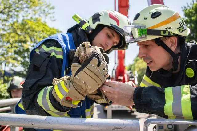 Foto: ffmoedling.at