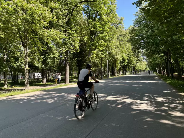 Foto: Antonio Šećerović/MeinBezirk