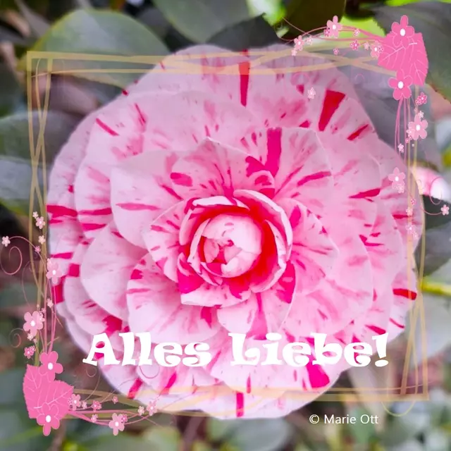 Muttertag, Danke, Alles Liebe