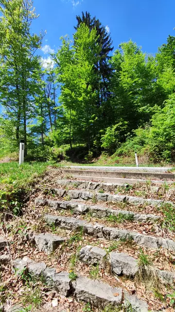 noch ein paar Stufen... | Foto: I.Wozonig