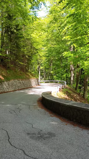 für den Rückweg gehen wir die 3km Straße entlang... | Foto: I.Wozonig