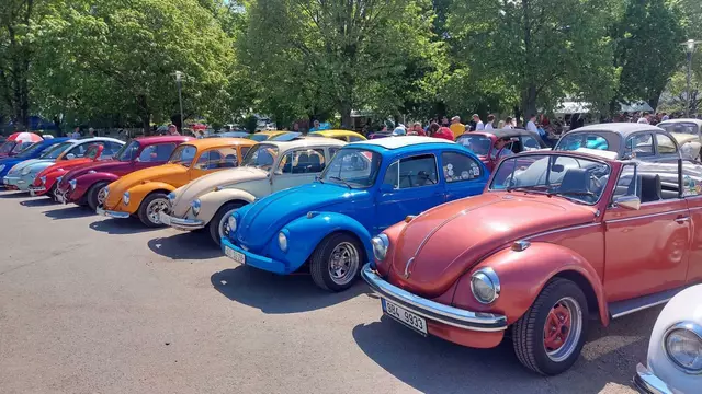 Alle Farben waren in Eggenburg vertreten. | Foto: Hohenegger