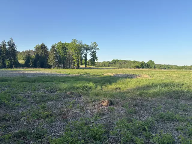 Foto: Elisabeth Kloiber