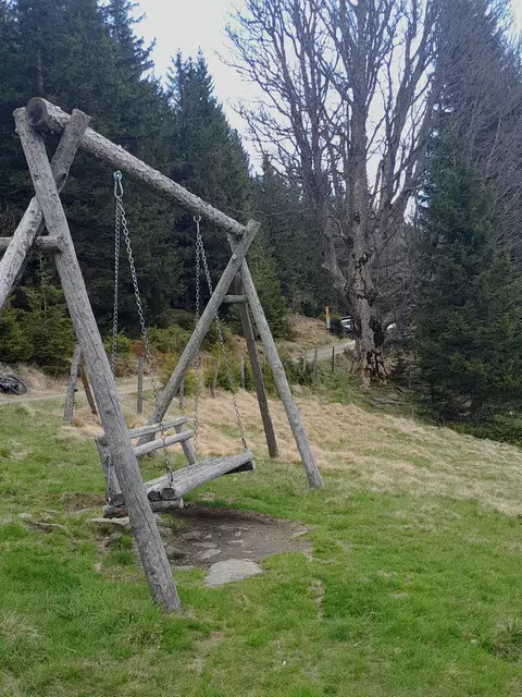 Schaukeln und schauen