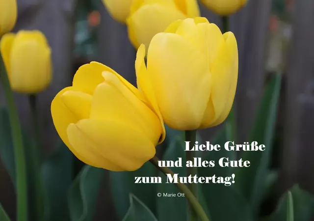 Muttertag, Danke an Mama