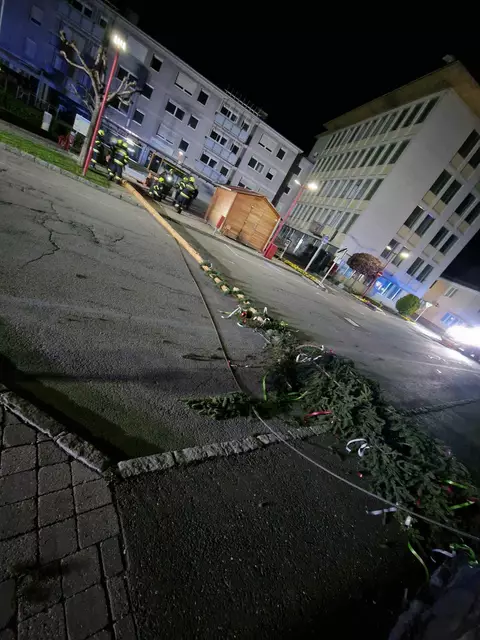 Die Feuerwehr musste den Baum vom Hauptplatz entfernen. | Foto: Oblak
