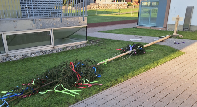 Beide Maibäume in Fohndorf wurden umgeschnitten. | Foto: Oblak