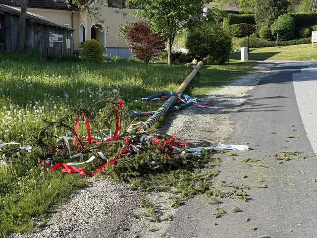 Der Maibaum der Freiwilligen Feuerwehr Penzendorf fiel einem niederträchtigen Sabotageakt zum Opfer. | Foto: BI d. V. Matthias Novacek