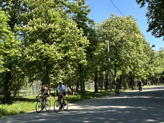 Foto: Antonio Šećerović/MeinBezirk