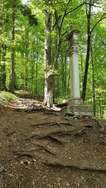 der Wurzelweg ist nicht immer so wurzelig... | Foto: I.Wozonig