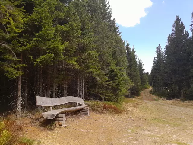 Ich geh den Weg links und komm zu dieser Riesenbank, wo ich mich gleich mal ausstrecke und etwas chille