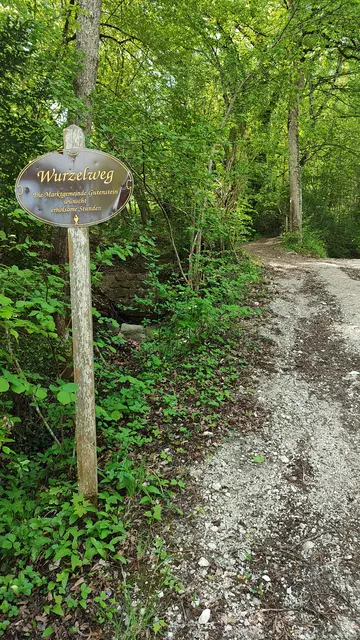 der Wurzelweg leitet uns als Weg Nr.231 auf den  Mariahifberg... | Foto: I.Wozonig