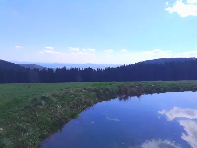 Ein kleiner Teich auf der Thalberger Schwaig mit schönem Fernblick