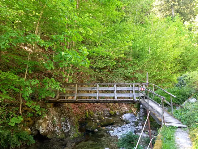 Foto: H.Bachinger 