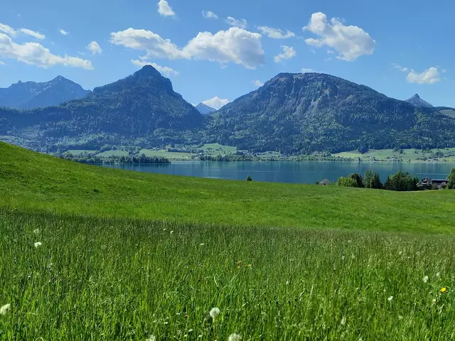 Sparber, Bleckwand  | Foto: H.Bachinger 