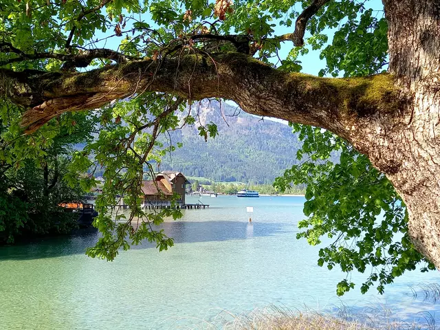 Foto: H.Bachinger 