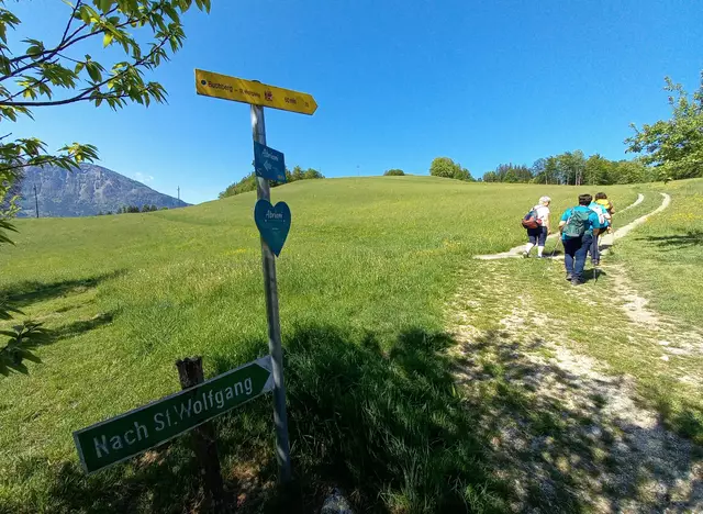 Nach St. Wolfgang  | Foto: H.Bachinger 