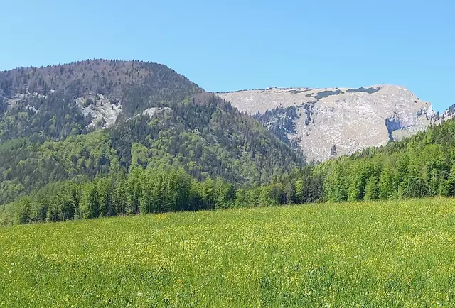 Rechts wieder der Schafberg | Foto: H.Bachinger 