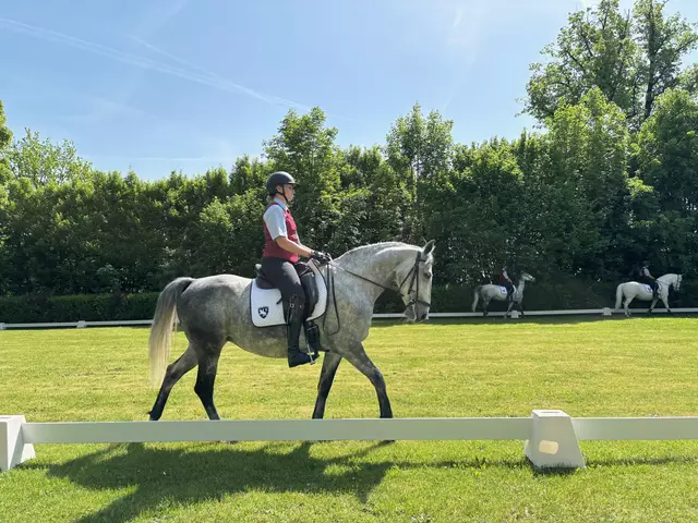 Erlebnis Lipizzaner - hier werden drei Lipizzanerstuten von der Reitabteilung präsentiert. | Foto: Almer