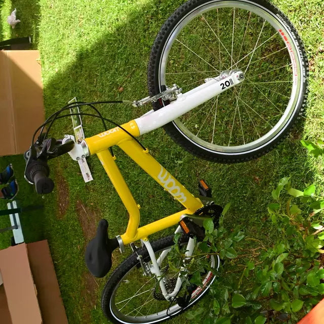 Der von der Firma More gestiftete 1. Preis