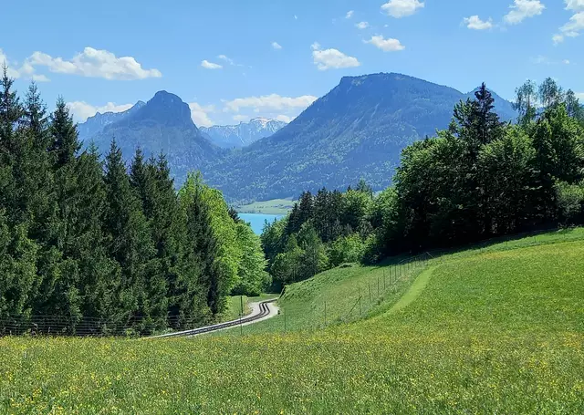 Foto: H.Bachinger 