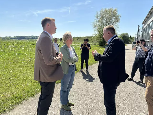 Das Streichen der Förderungen habe laut den Grünen für Unternehmen und Private starke Auswirkungen. | Foto: MeinBezirk