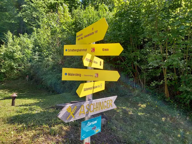 Viele Möglichkeiten zu wandern  | Foto: H.Bachinger 