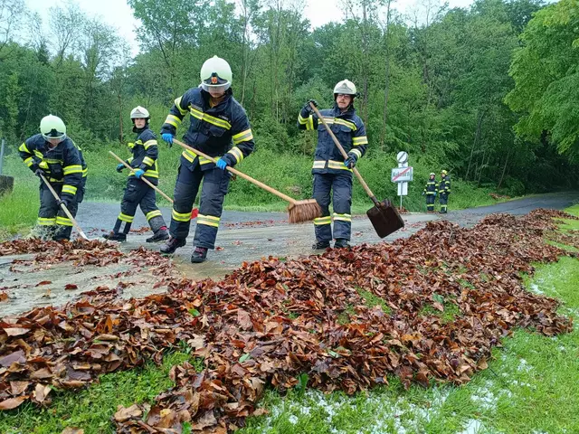Foto: Bezirksfeuerwehrkommando Güssing