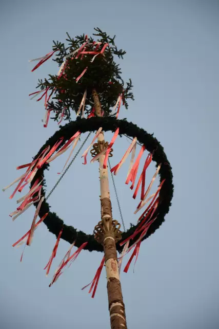 Mit viel Liebe wurde der Maibaum von der SPÖ, geschnitzt und  mithilfe der Eisschützen und SJ aufgestellt. Seine stattliche Größe konnte er nur einen Tag zeigenbevor er in ein er Nacht und Nebelaktion gefällt wurde.  | Foto: Strohmeier