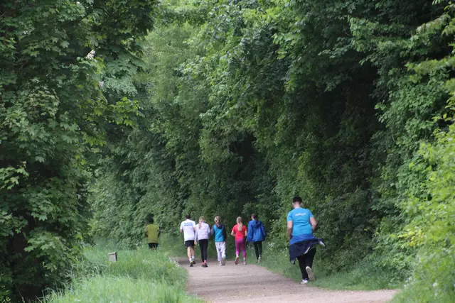 "Wings for Life Run" in Perg 2025. | Foto: Meinbezirk Perg/Köck